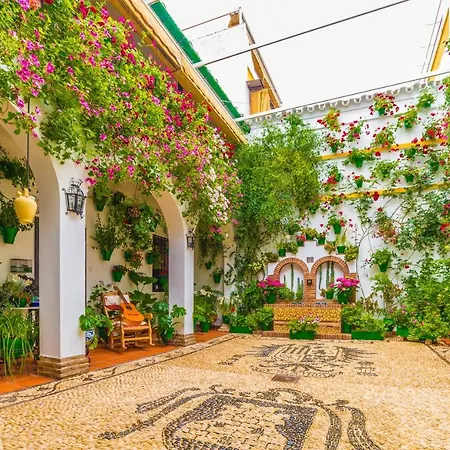 아파트 San Basilio